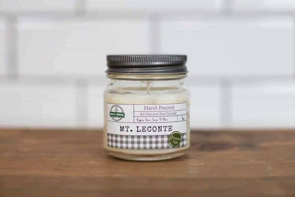 mt. leconte hand poured soy candle