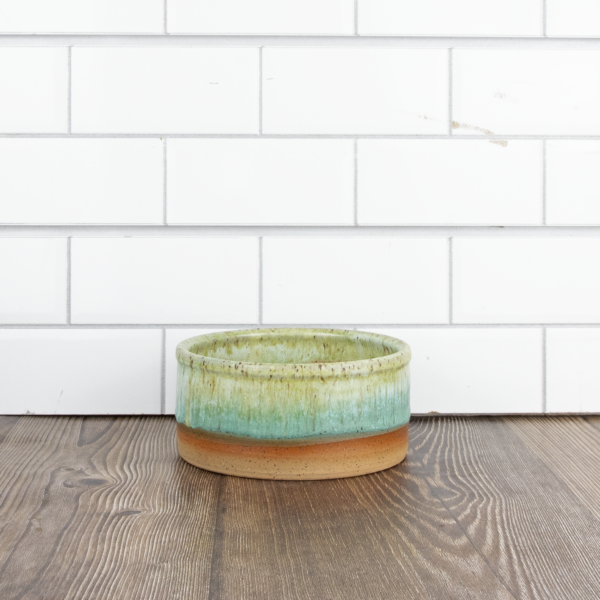 Dog Bowl- Turquoise