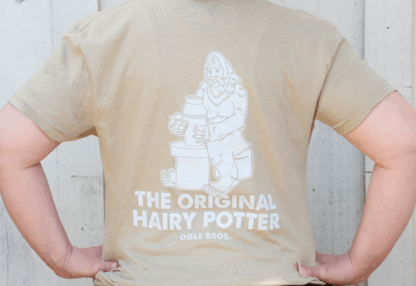 Harry Potter- Sandstone