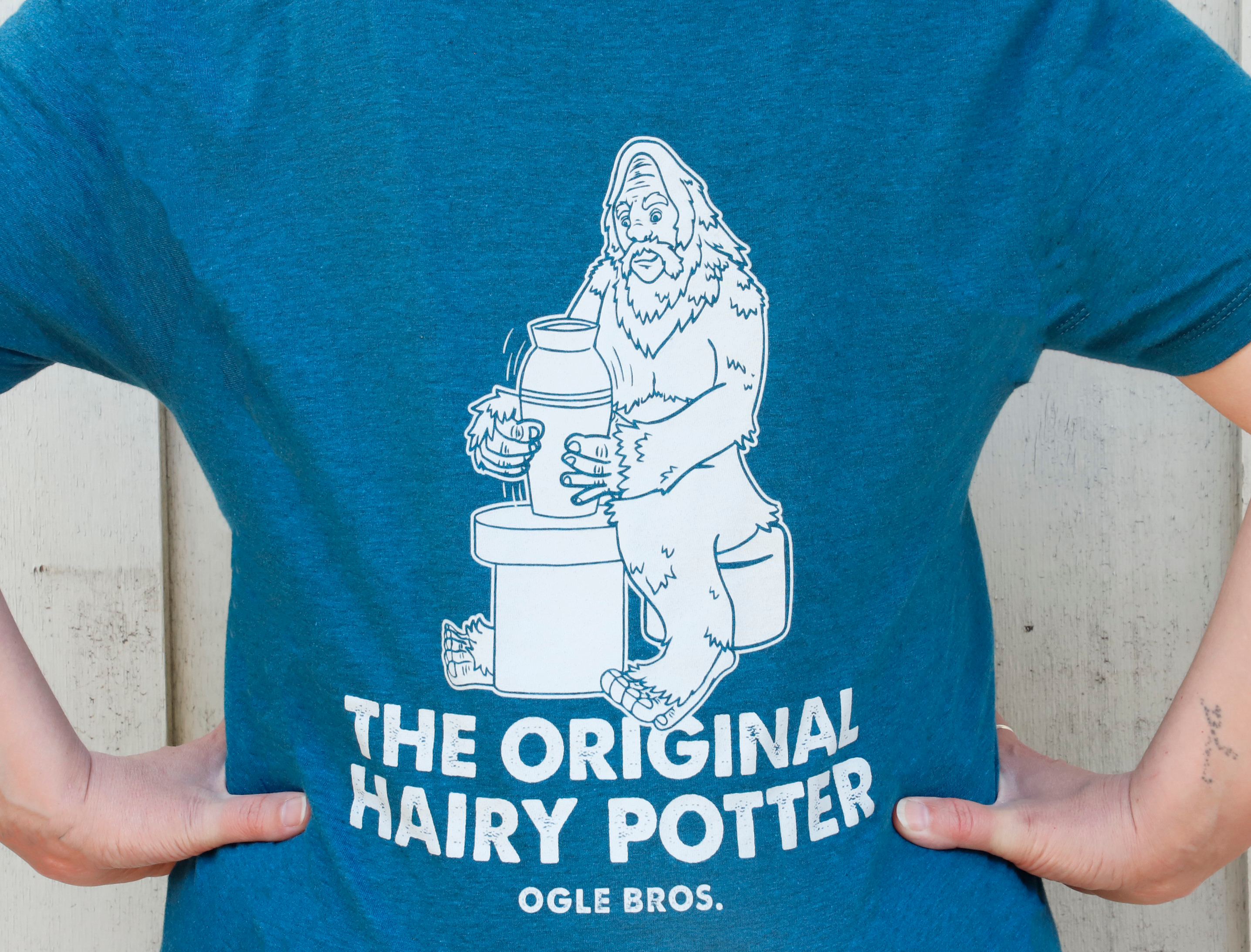 Harry Potter- Harbor Teal