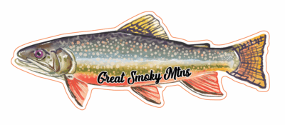 Timestream Brook Trout Sticker